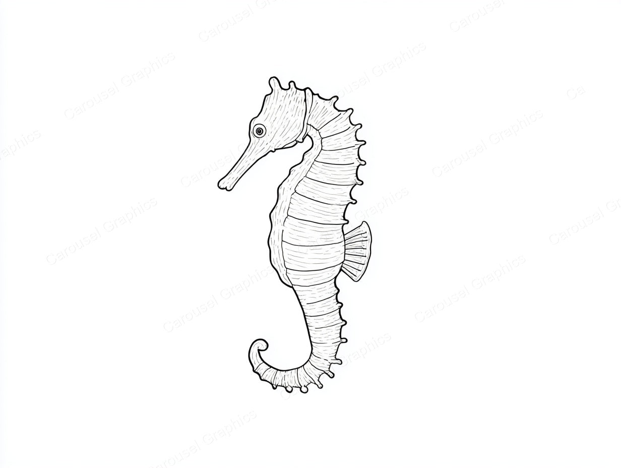 Seahorse Vector Graphic preview