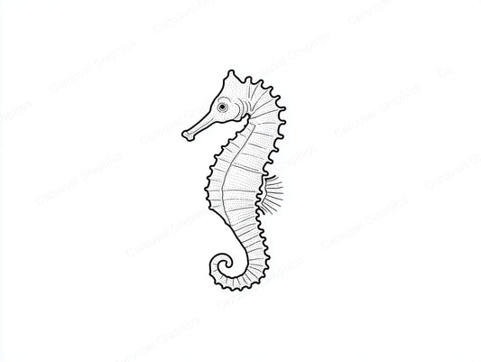 Seahorse Vector Graphic preview