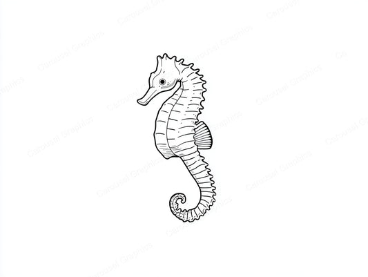 Seahorse Vector Graphic preview
