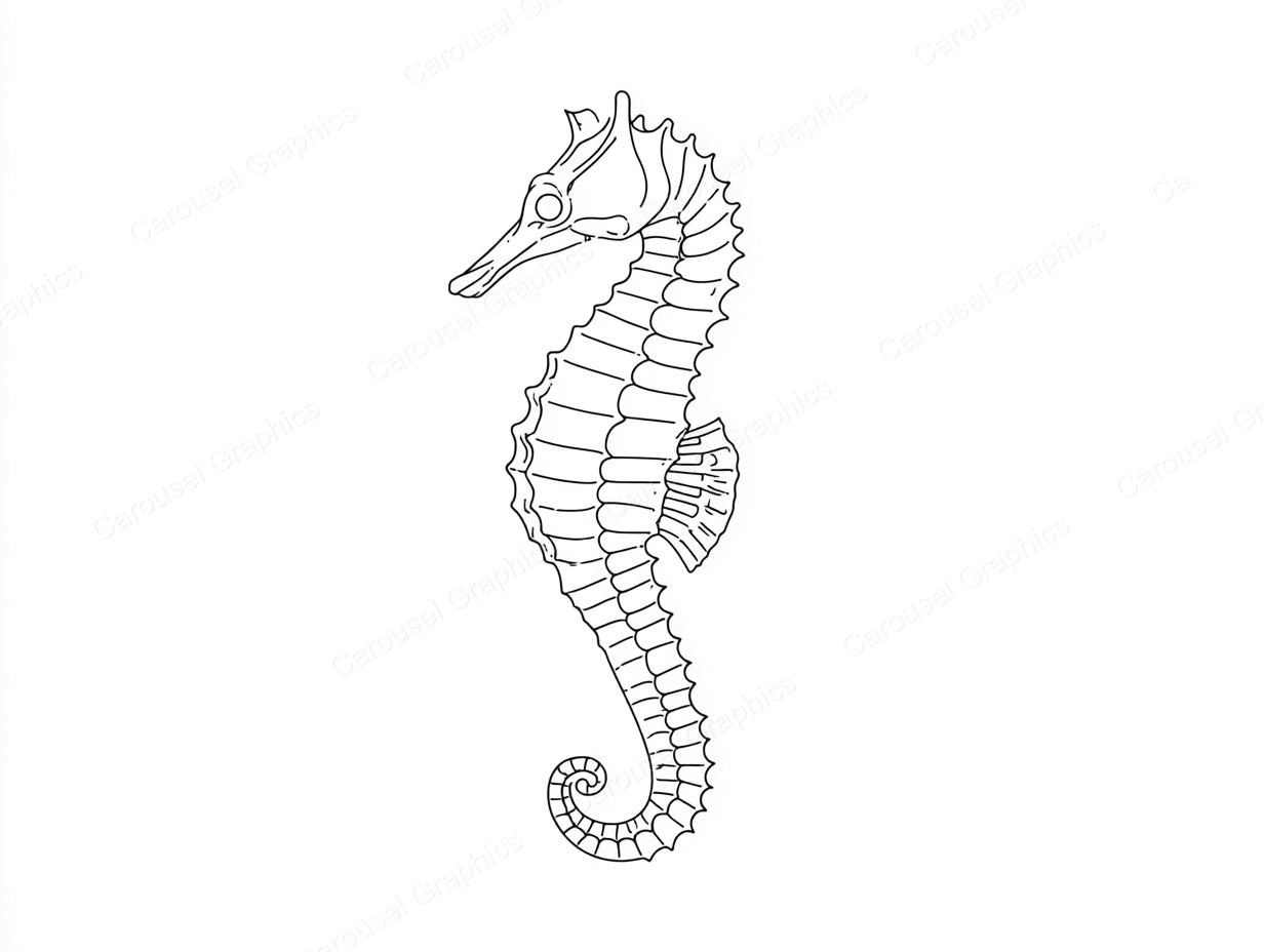 Seahorse Vector Graphic preview