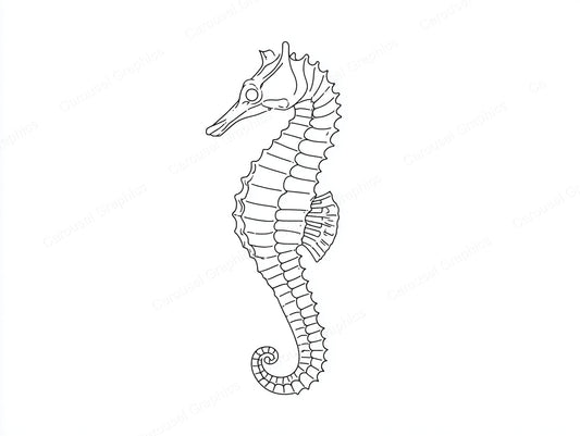 Seahorse Vector Graphic preview