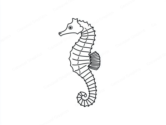 Seahorse Vector Graphic preview