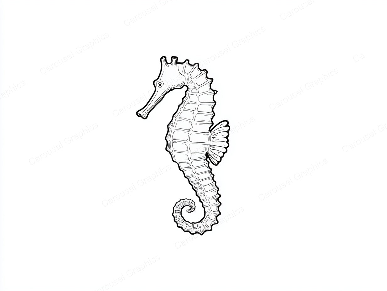 Seahorse Vector Graphic preview