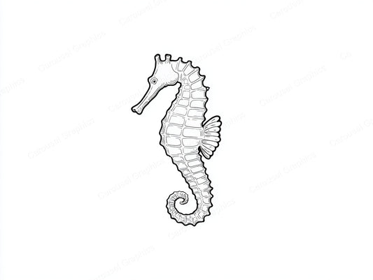 Seahorse Vector Graphic preview