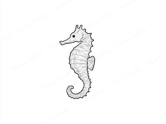 Seahorse Vector Graphic preview
