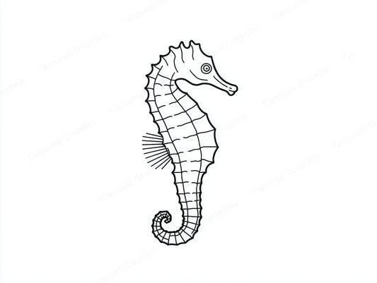 Seahorse Vector Graphic preview