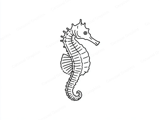 Seahorse Vector Graphic preview