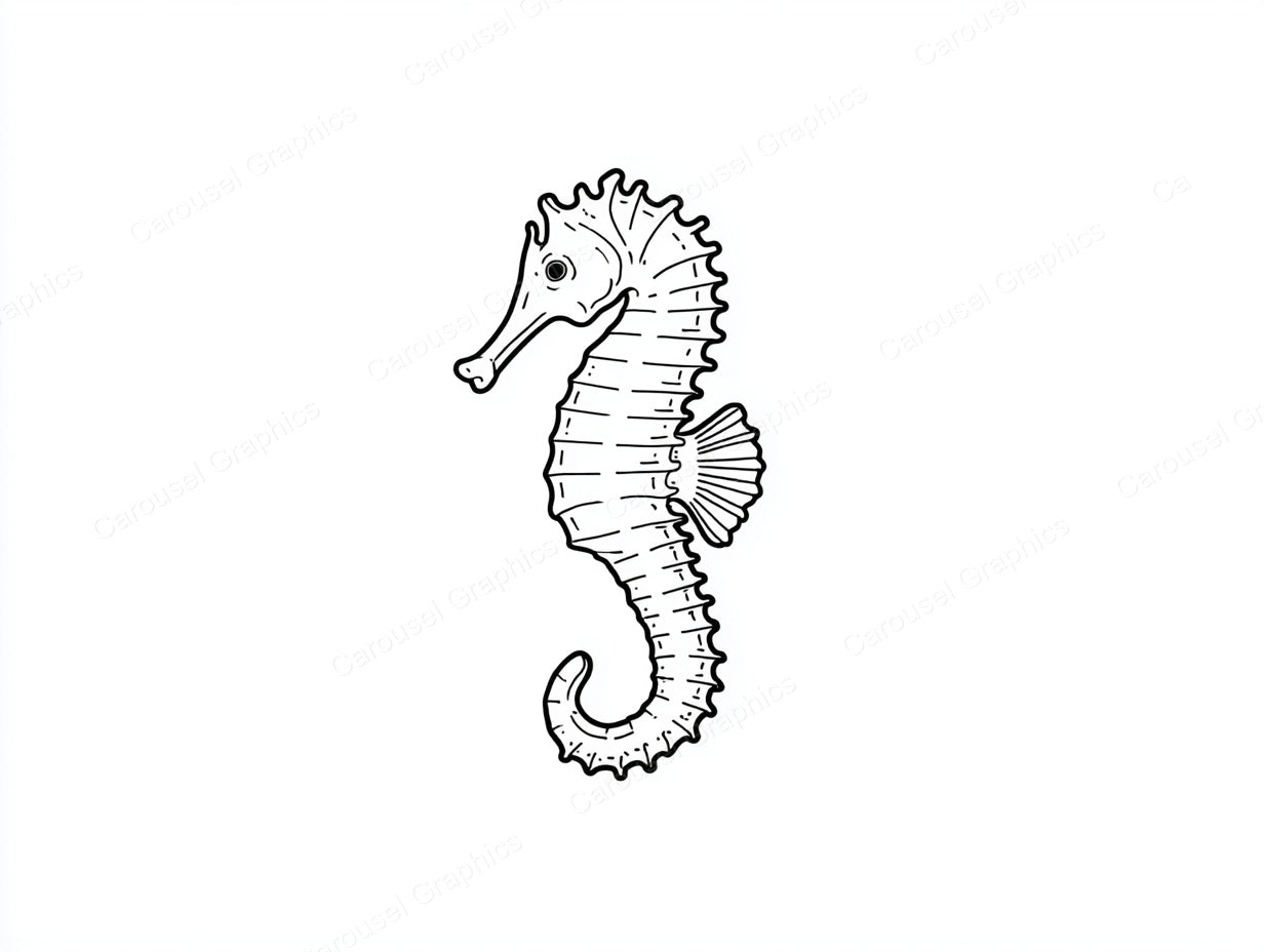 Seahorse Vector Graphic preview