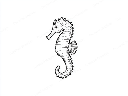 Seahorse Vector Graphic preview