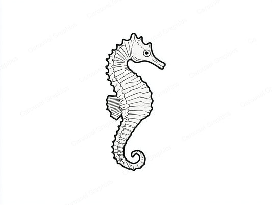 Seahorse Vector Graphic preview