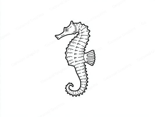Seahorse Vector Graphic preview