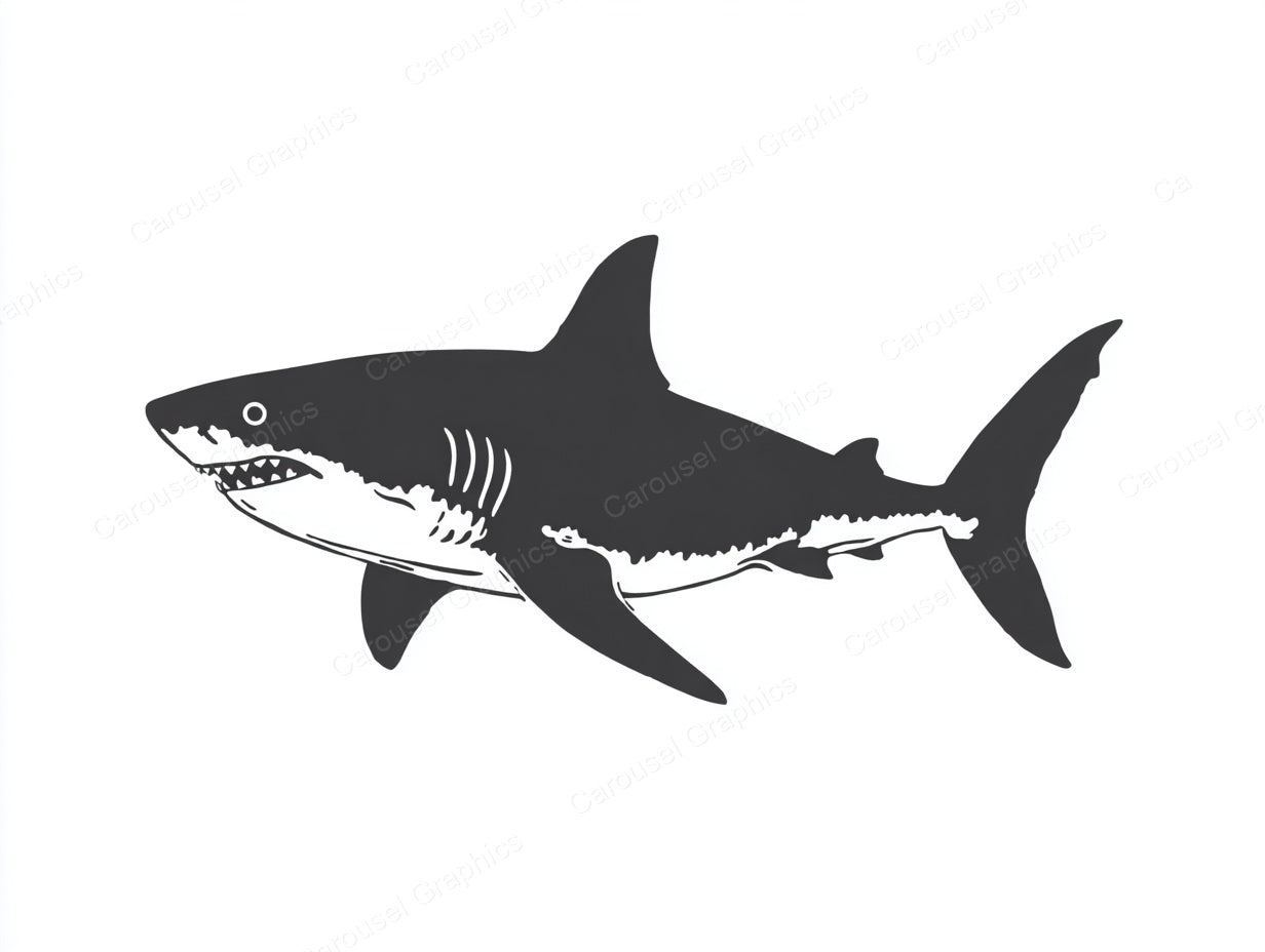 Shark Vector Graphic preview