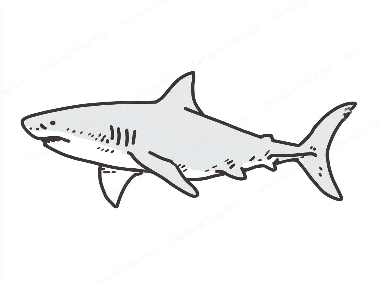 Shark Vector Graphic preview