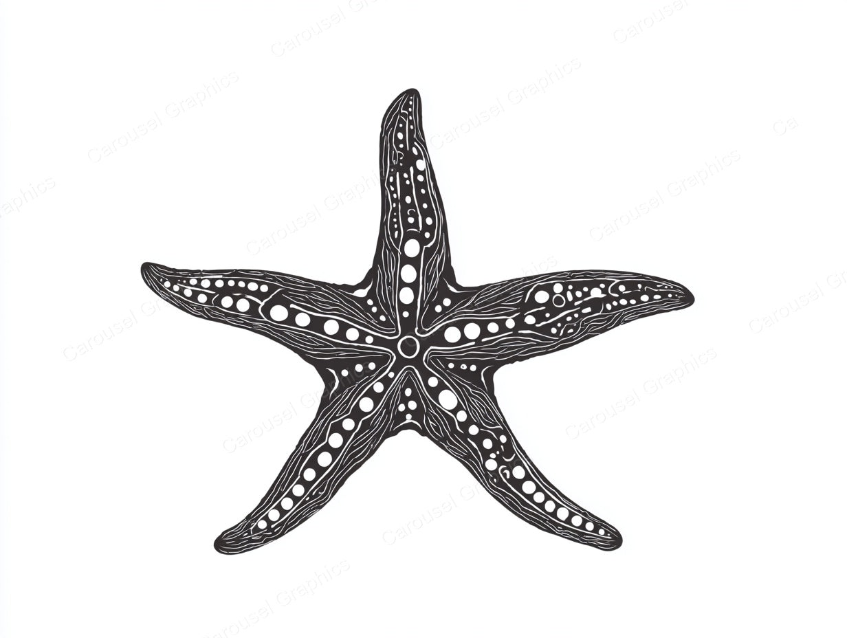 Starfish Vector Graphic preview