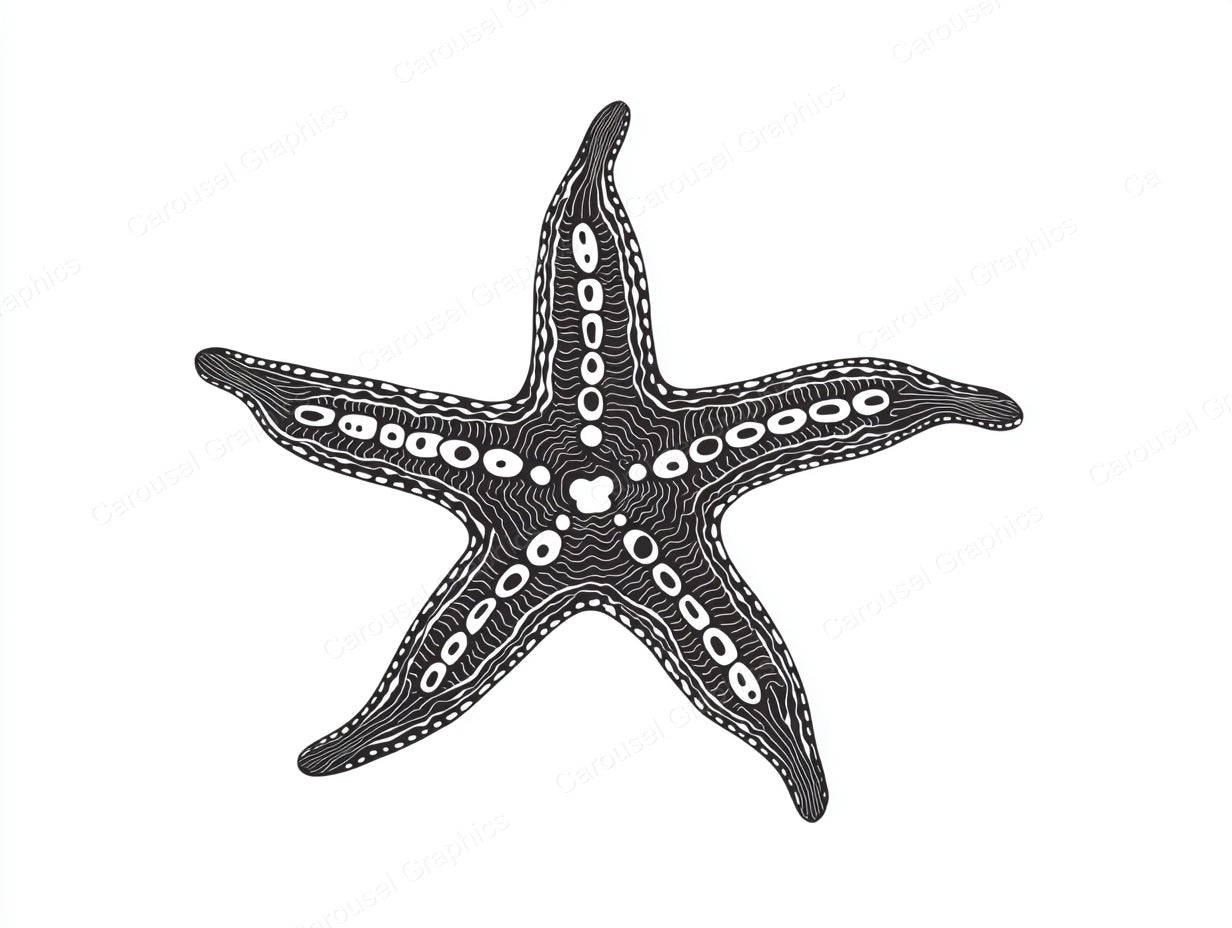 Starfish Vector Graphic preview
