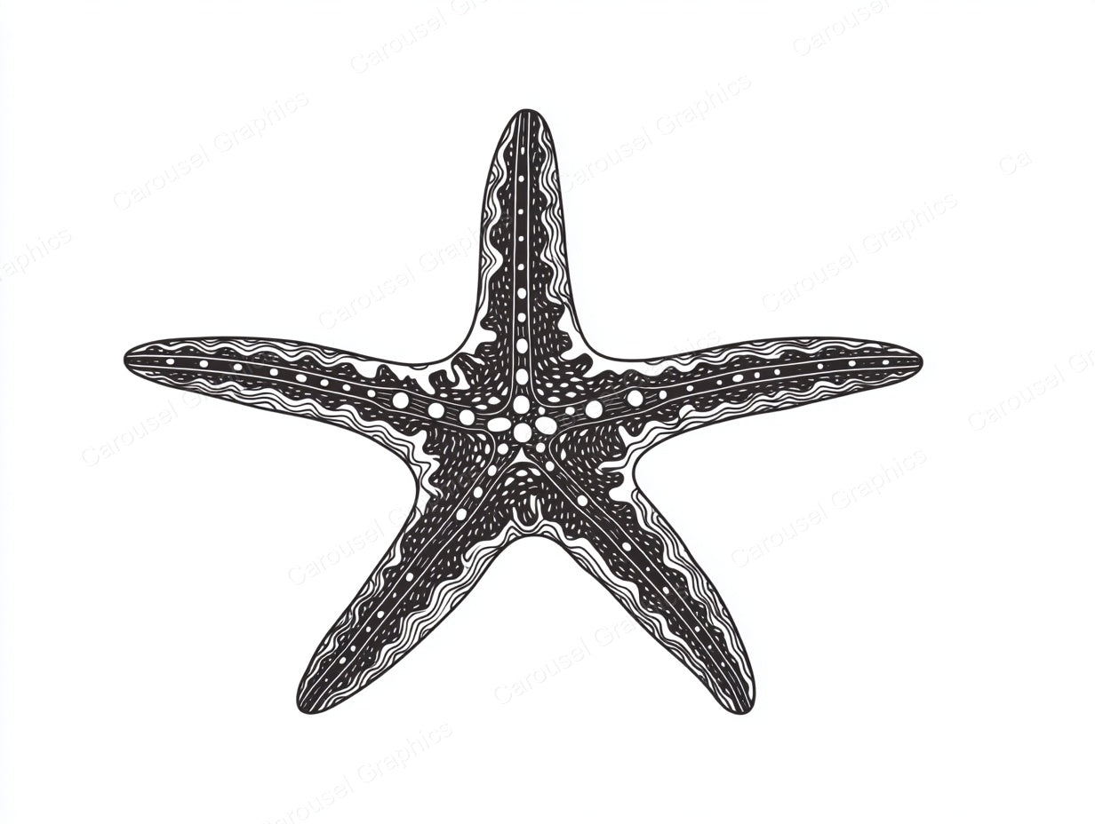 Starfish Vector Graphic preview