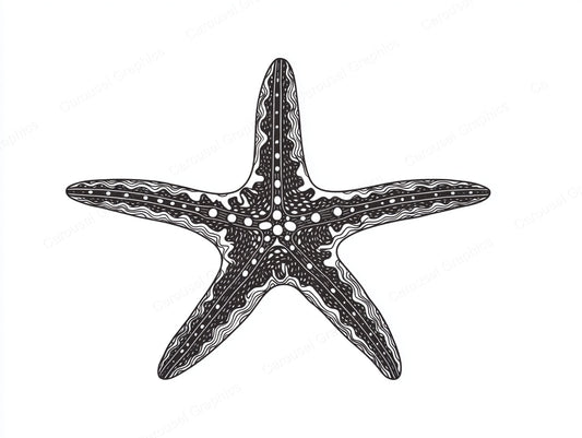Starfish Vector Graphic preview