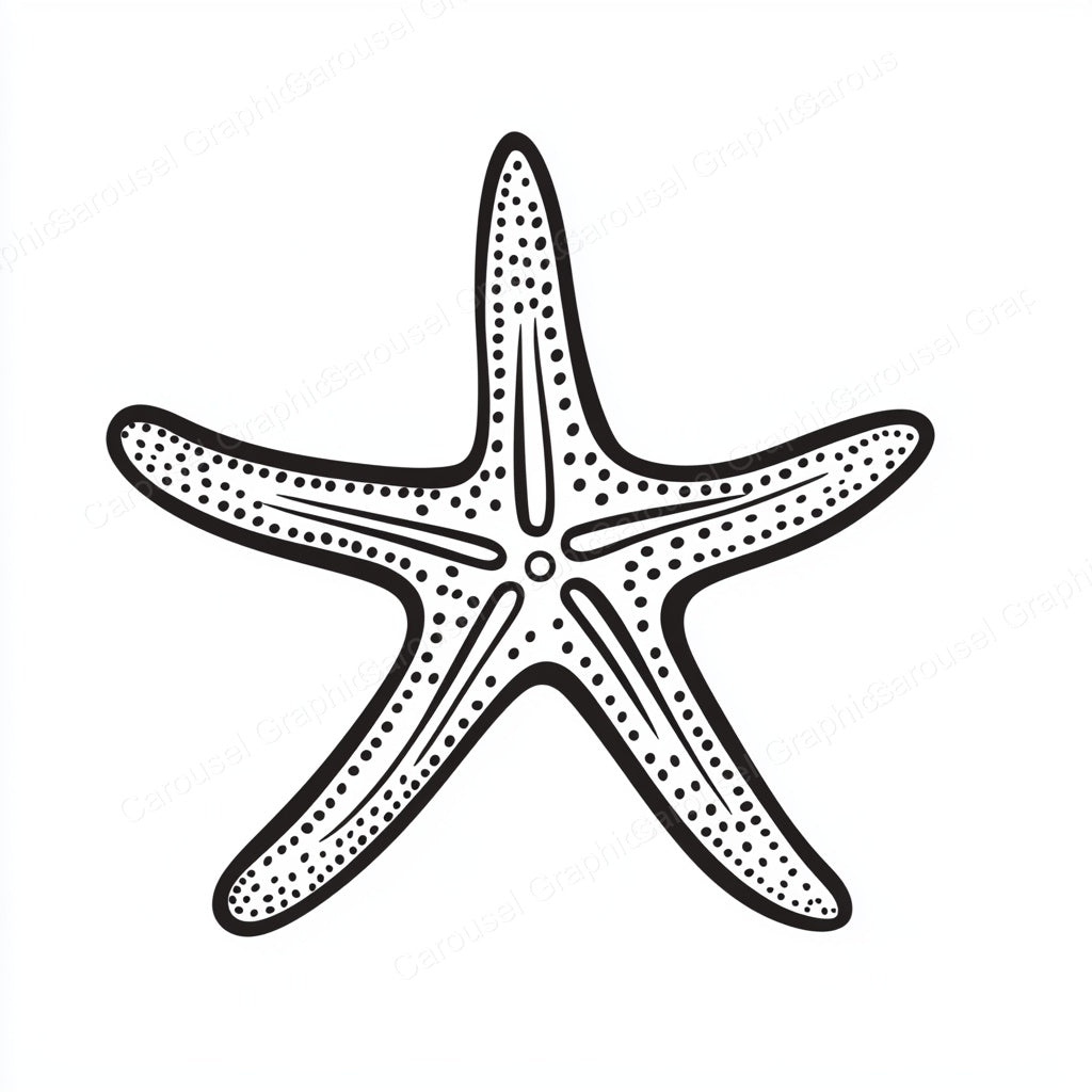 Starfish Vector Graphic preview