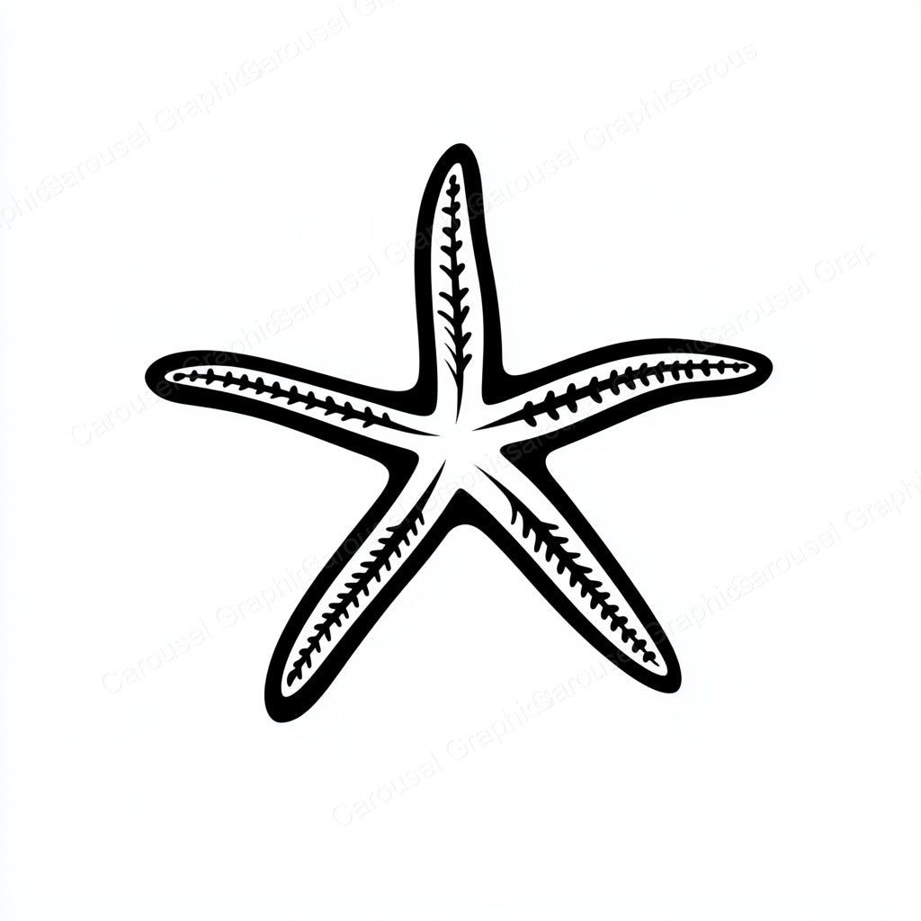 Starfish Vector Graphic preview