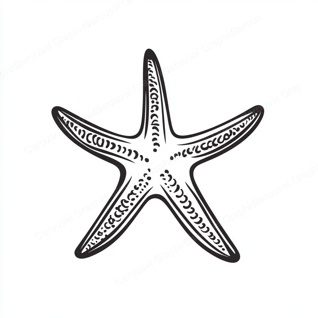 Starfish Vector Graphic preview