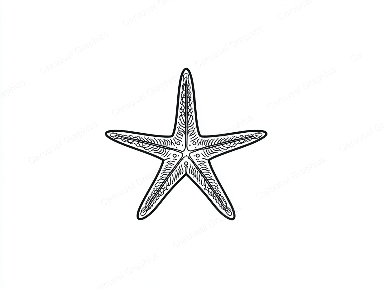 Starfish Vector Graphic preview
