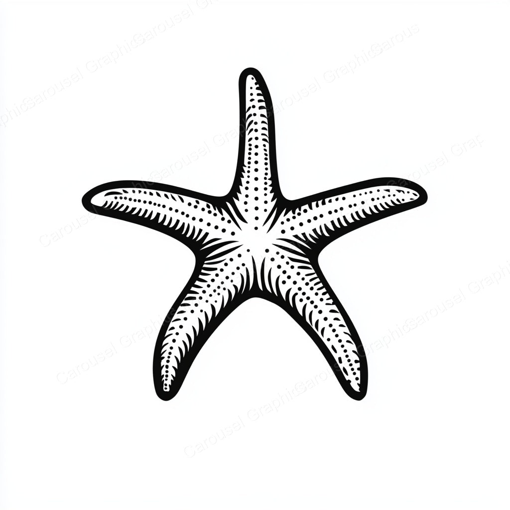 Starfish Vector Graphic preview