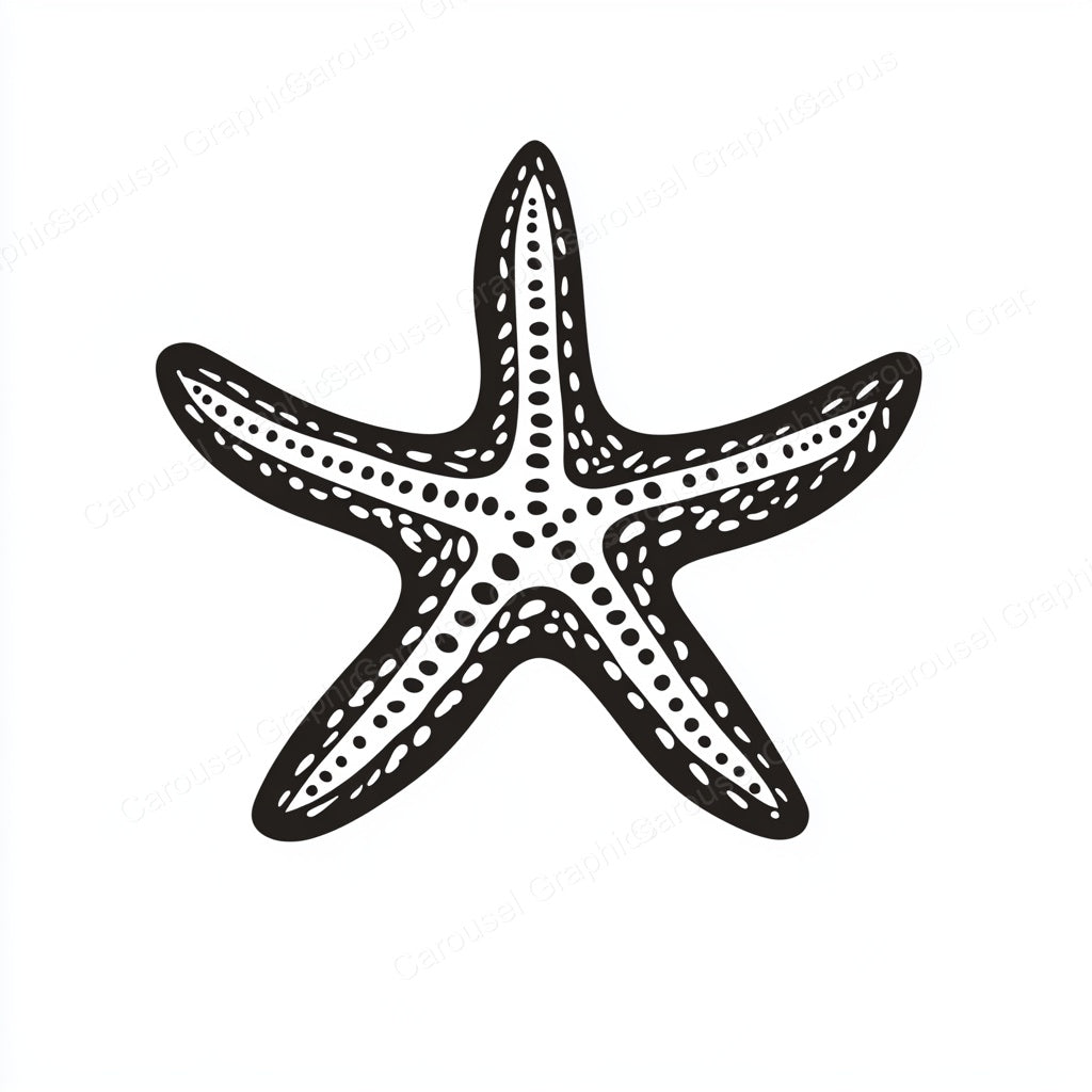 Starfish Vector Graphic preview