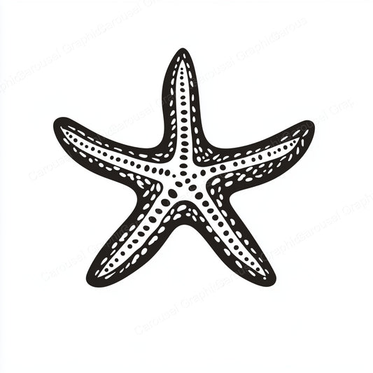 Starfish Vector Graphic preview
