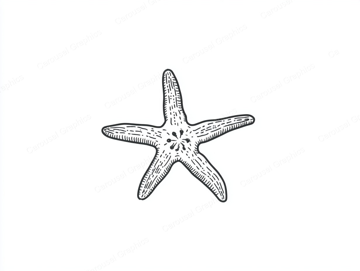 Starfish Vector Graphic preview