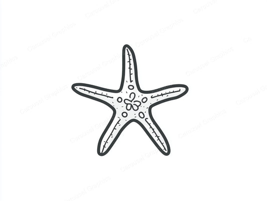 Starfish Vector Graphic preview