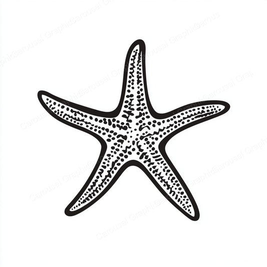 Starfish Vector Graphic preview