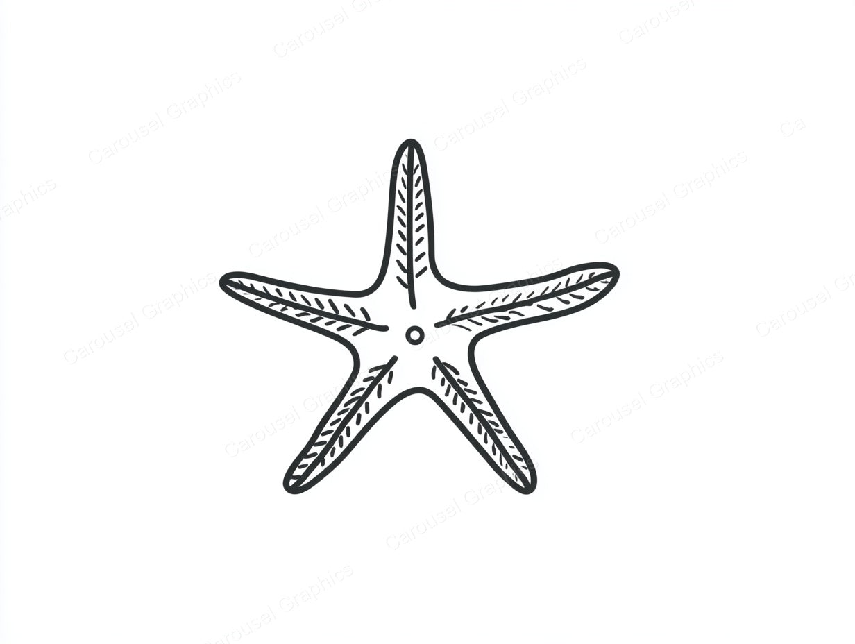 Starfish Vector Graphic preview