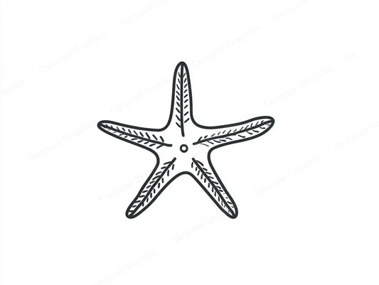 Starfish Vector Graphic preview