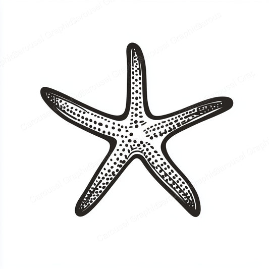 Starfish Vector Graphic preview