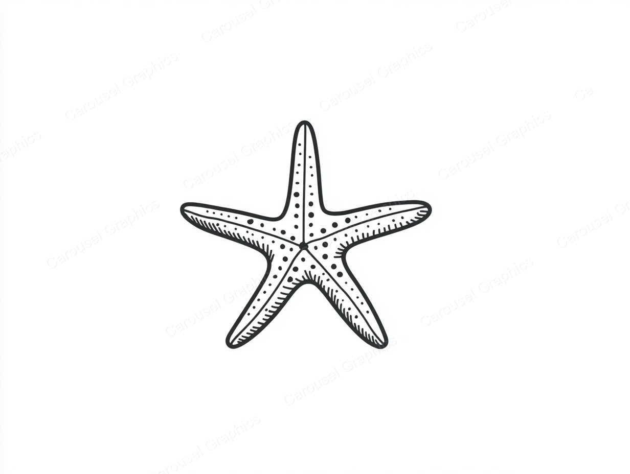 Starfish Vector Graphic preview