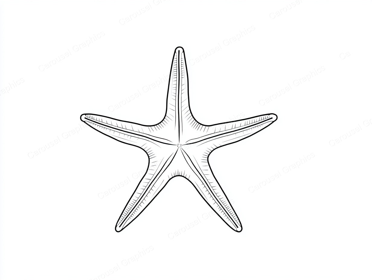 Starfish Vector Graphic preview