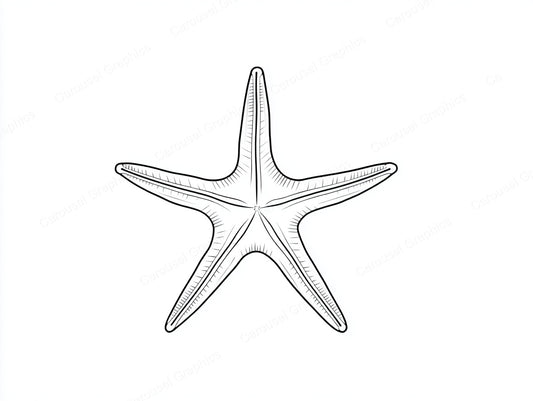 Starfish Vector Graphic preview