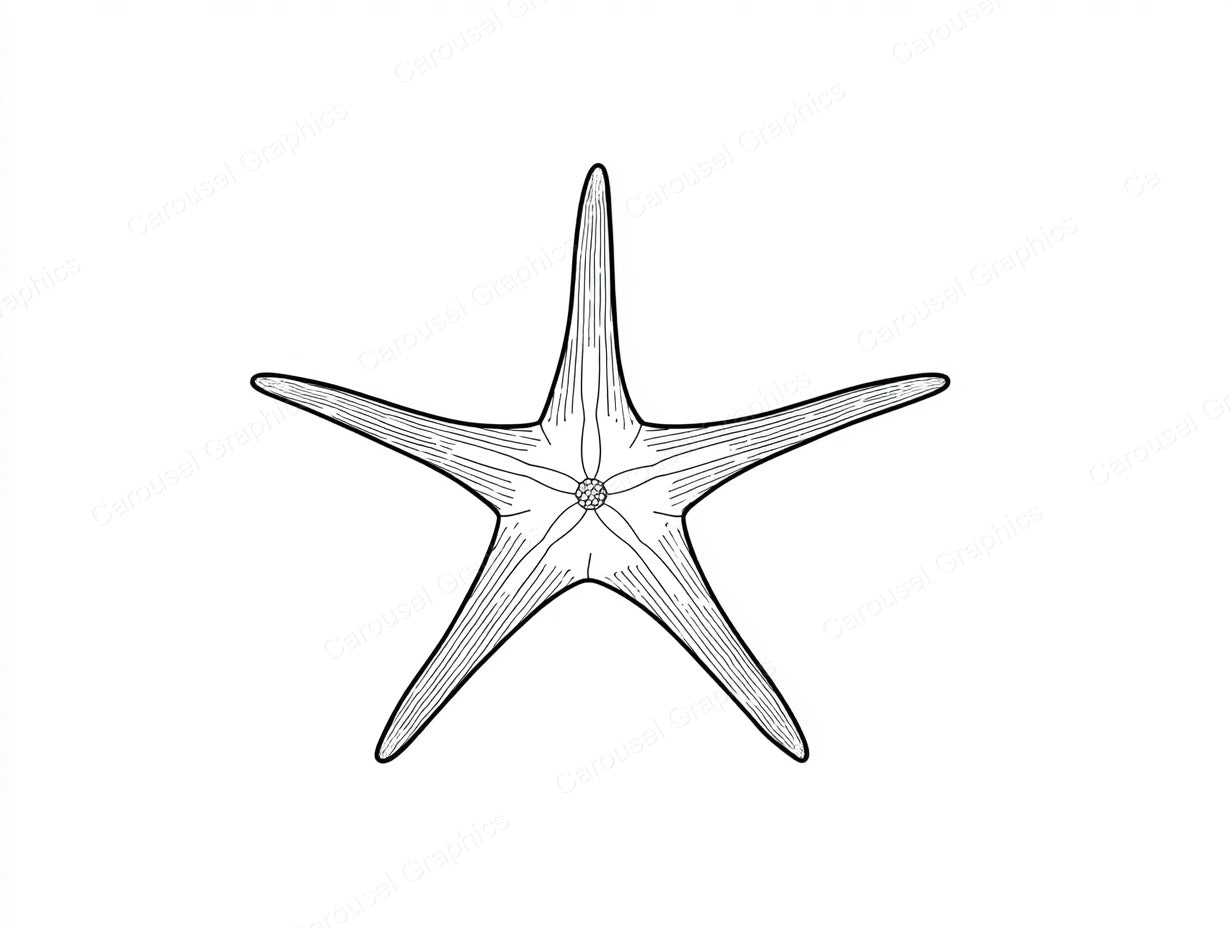 Starfish Vector Graphic preview