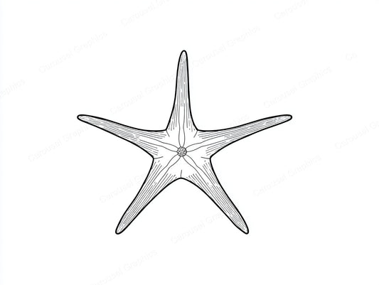 Starfish Vector Graphic preview