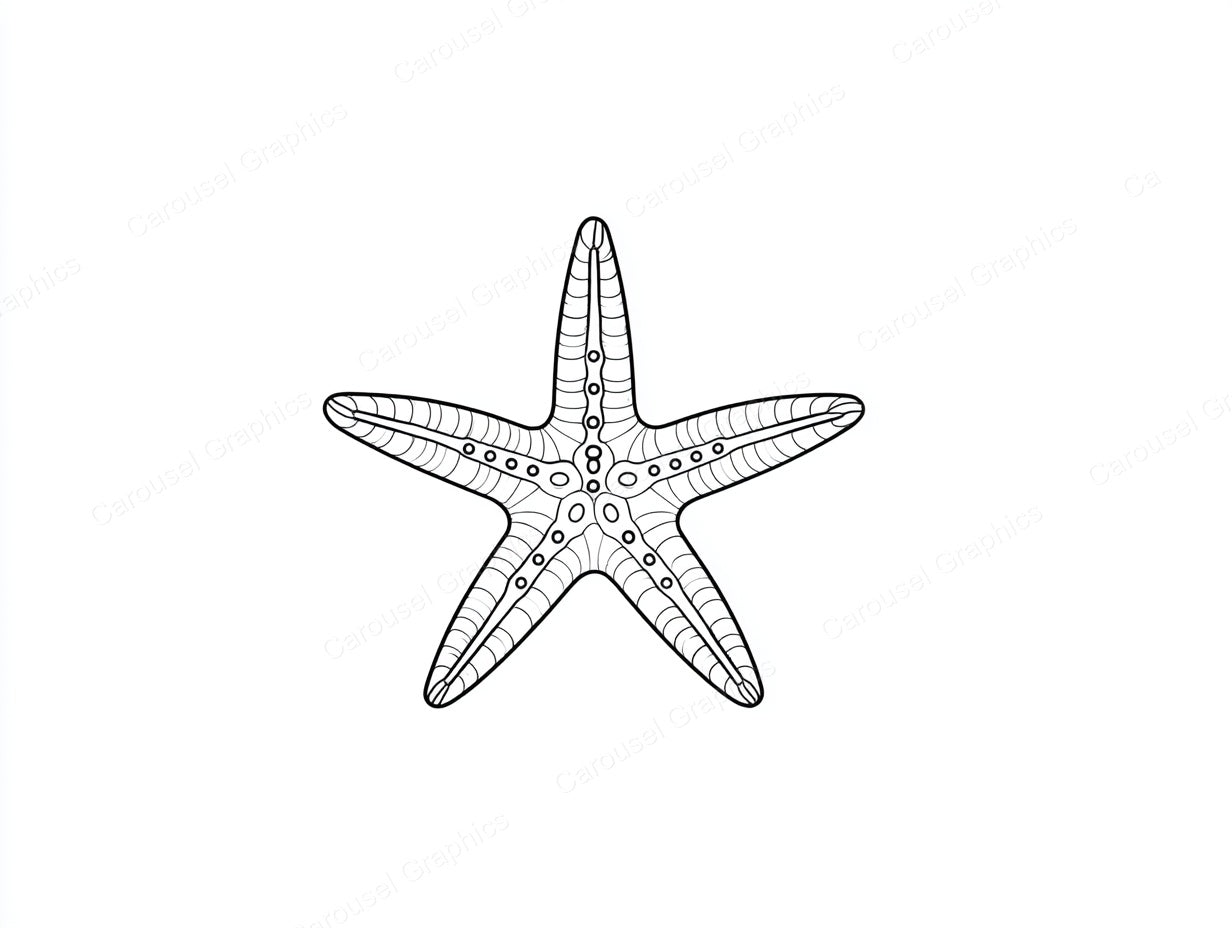 Starfish Vector Graphic preview