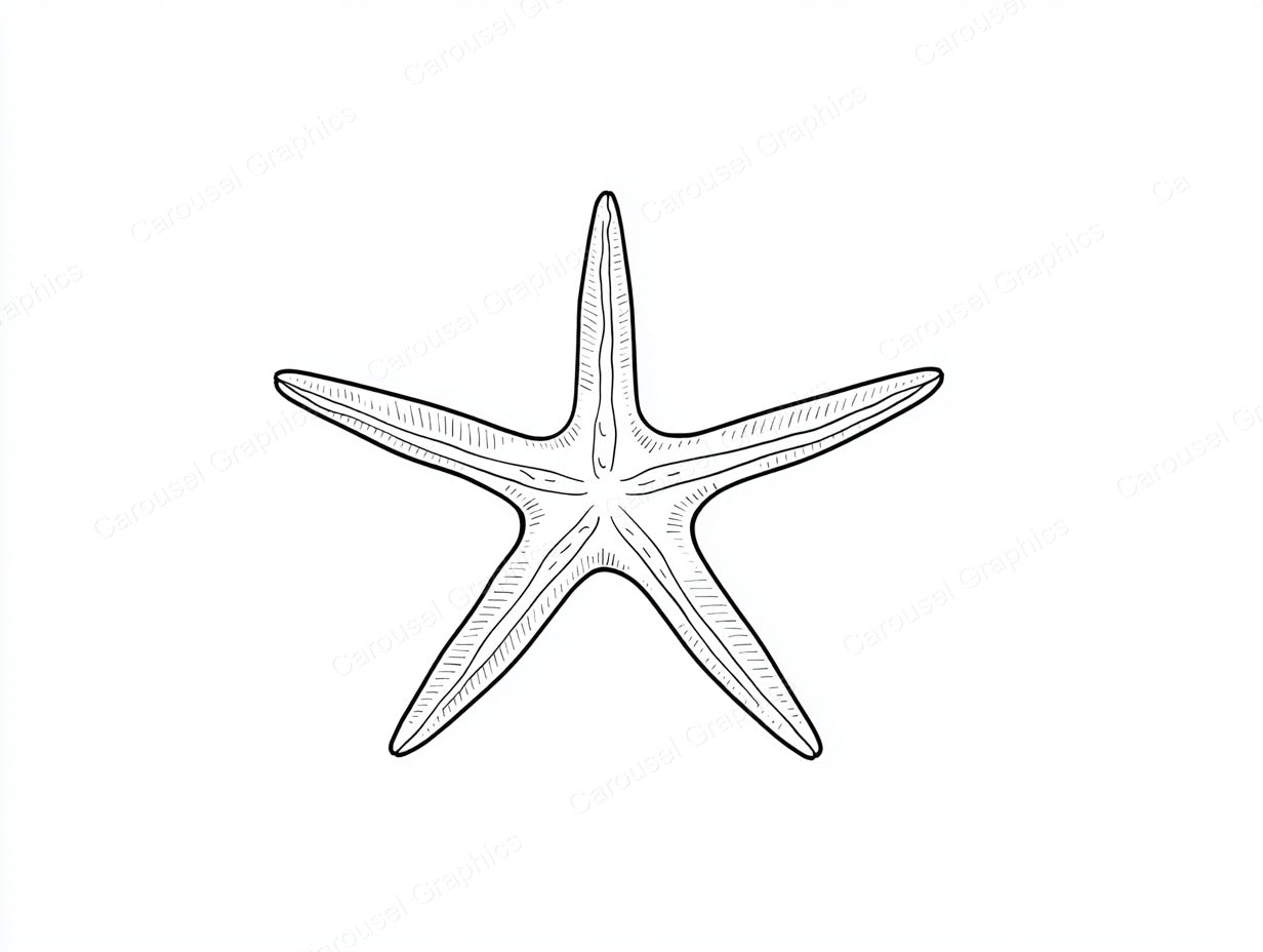 Starfish Vector Graphic preview