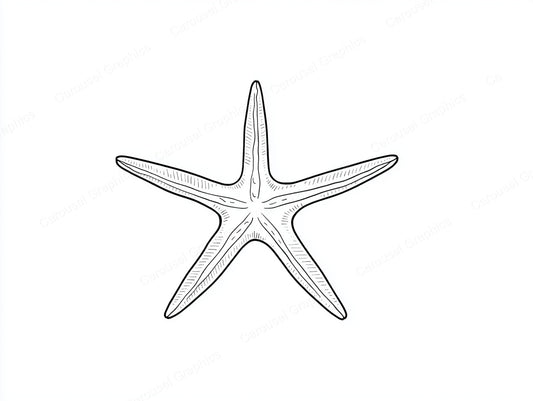 Starfish Vector Graphic preview