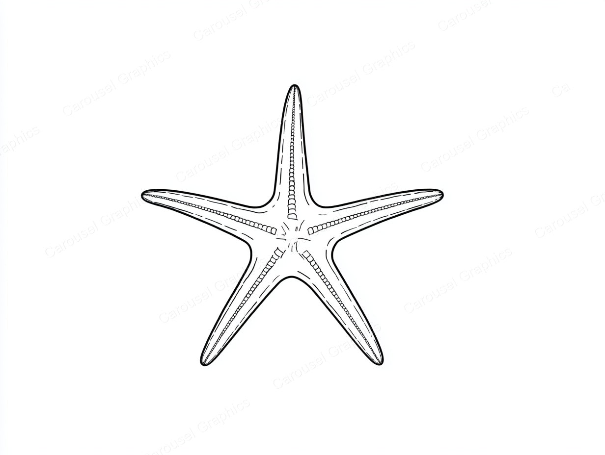 Starfish Vector Graphic preview