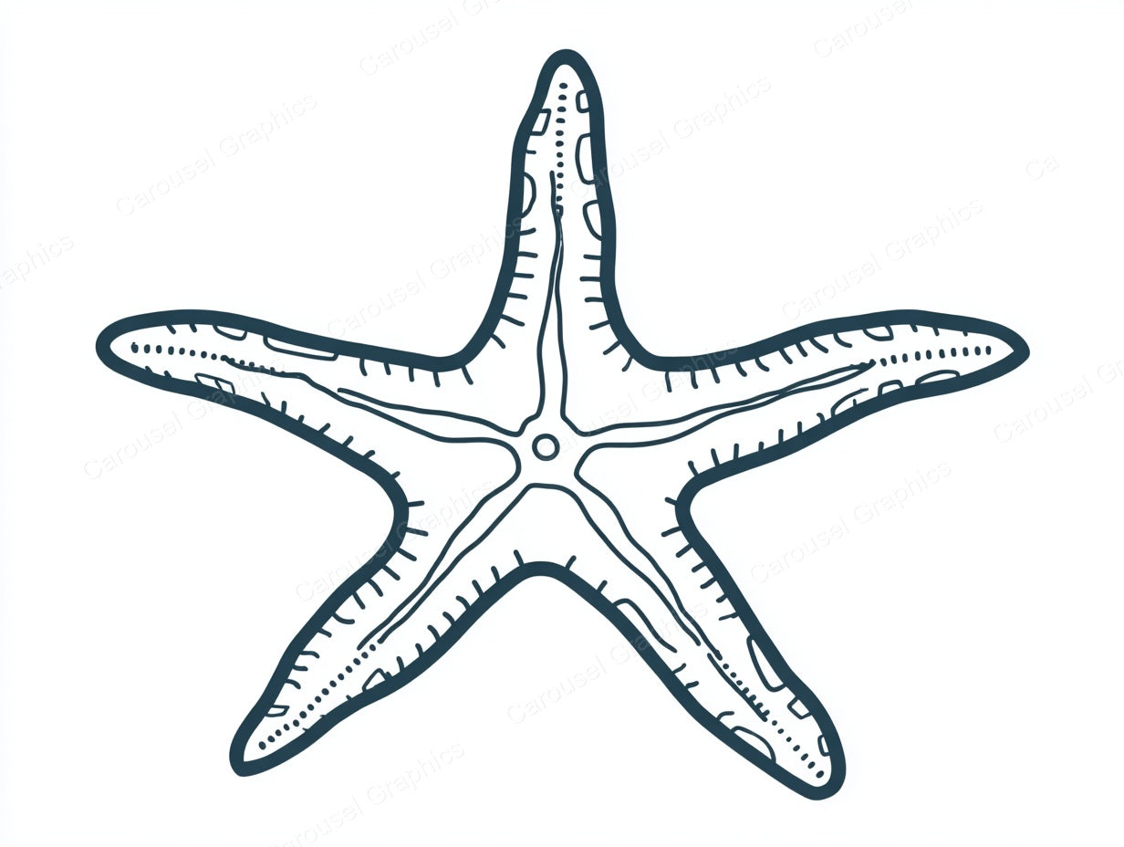 Starfish Vector Graphic preview