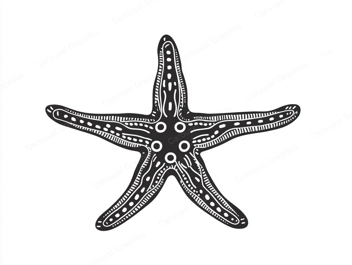 Starfish Vector Graphic preview
