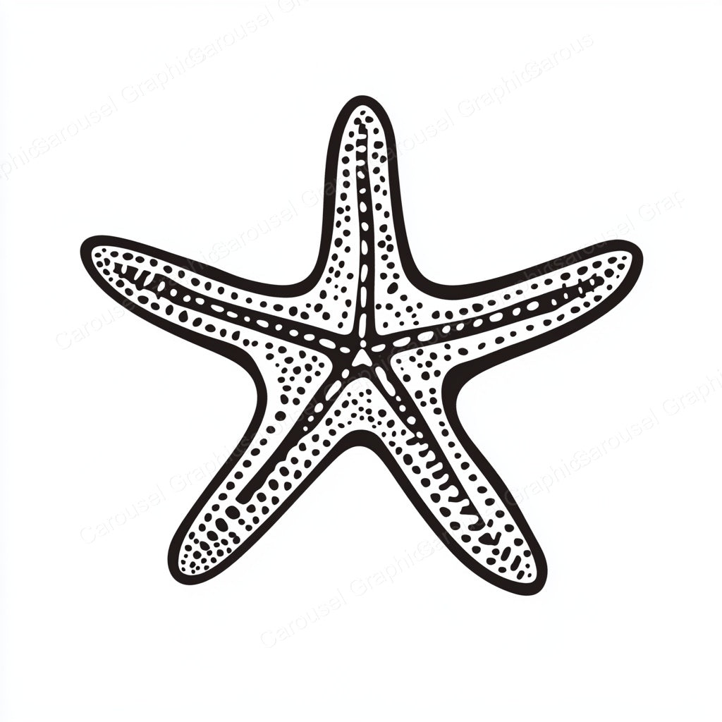 Starfish Vector Graphic preview