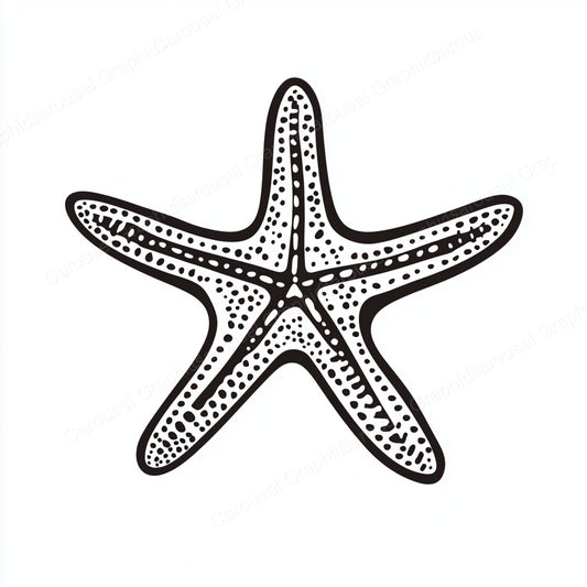 Starfish Vector Graphic preview