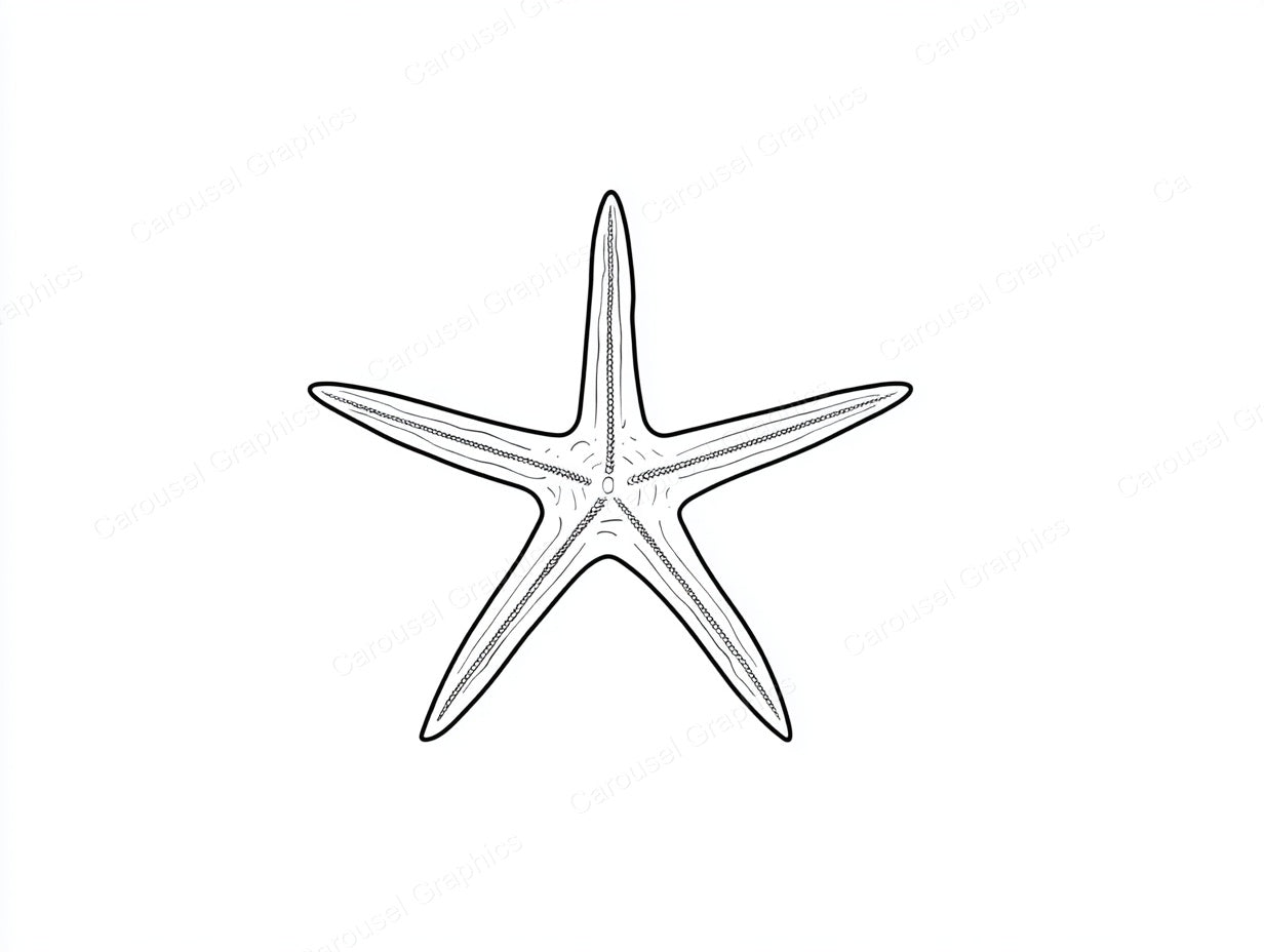Starfish Vector Graphic preview
