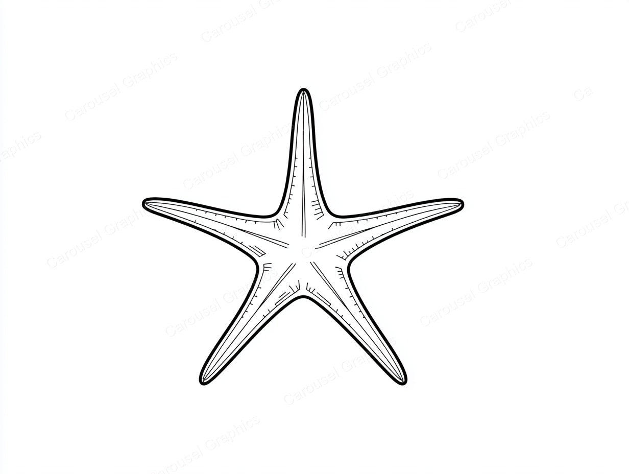 Starfish Vector Graphic preview
