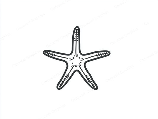 Starfish Vector Graphic preview